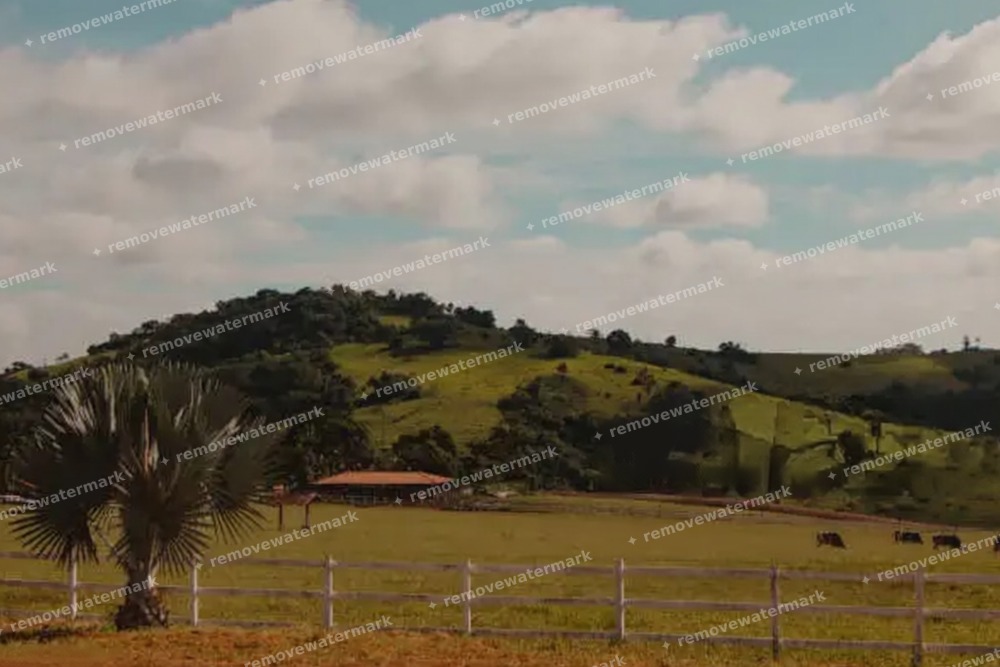 Automatic AI watermark detection
